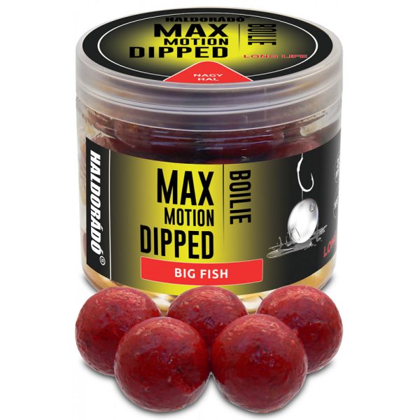 Haldorádó Max Motion Boilie Dipped Großer Fisch 100g 20mm Boilie