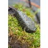Korum Bait Gripper Feeder Futterkorb 180gr