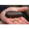 Korum Bait Gripper Feeder Futterkorb 180gr