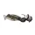 Livetarget The Ultimate Frog Popper Bait Brown Black 5cm 21gr Frosch Imitation