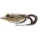 Livetarget Frosch-Walking-Köder Beige/Braun 11,7cm 25gr Frosch-Imitat
