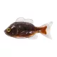Livetarget Sunfish Unrigged Braun-Schwarz 8,5cm Gummi-Sonnenbarsch 4 Stk.