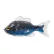 Livetarget Sunfish Unrigged Silber-Blau 8,5cm Gummi-Sonnenbarsch 4 Stk.