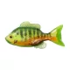 Livetarget Sunfish Unrigged Chartreuse-Orange 8,5cm Gummi-Sonnenbarsch 4 Stk.
