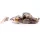 Livetarget Goby Paddletail Rigged Brown-Chartreuse 7,1cm 10gr Sinkender Gummifisch
