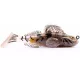 Livetarget Goby Paddletail Rigged Brown-Chartreuse 7,1cm 10gr Sinkender Gummifisch