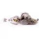 Livetarget Goby Paddletail Rigged Natural-Pumpkin 8,4cm 12gr Sinkender Gummifisch