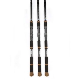 Mustad G-Series Hybrid M 3,00m 10-30gr 2-teilige Spinnrute