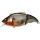 Megabass Vibration-X Vatalion SF 7,1cm 10,5gr AL Evening Gill Wobbler