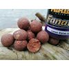 MIKBAITS FANATICA LRA Boilie - LACHS&KREBS&ASA 24mm 900 gr