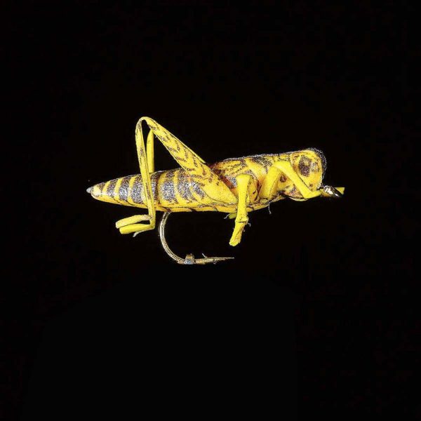 JMC Sauterelle 22 H8 - PCB 6 Kunstfliege