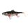 Fox Rage Giant Replicant Wobble UV Young Perch 27cm 218gr Gummifisch