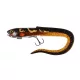 Fox Rage Slick Eel Loaded 28cm Burbot Kunststoffköder