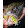 Fox Rage Bulk Loaded Zander Pro Shads UV Lemon Tiger 12cm 4/0 50gr Kunststoffköder