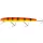 WESTIN Jätte Crankbait 17cm 47g schwimmend Alert Tiger Wobbler