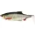 WESTIN Ricky the Roach Shadtail 10cm 14g Real Roach Box mit 30 Stk. Kunststoffköder