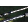 Prowess Scorpium X 3,05m 3,00lb 2-teilige Karpfenrute