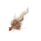 Sakura Chabio ZN Brown Shad L 4,2g Bucktail Jig