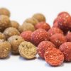 SBS Eurobase Fertig-Boilies Würzig 20mm 1kg Löslich Futter-Boilie