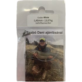 Dani Fluorocarbon Vorfach Hecht 0,45mm 13,670kg 40cm