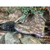 TF Gear Primal X-Trail Geländestiefel 39
