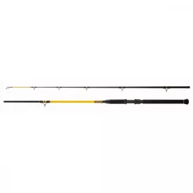   WFT Never Crack Bank Boat 3,20m 250-1000gr 2-teilige Welsrute
