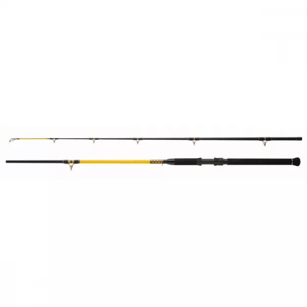 WFT Never Crack Bank Boat 3,20m 250-1000gr 2-teilige Welsrute